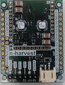 N-harvest-4.JPG