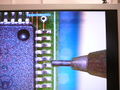 SHORTCIRCUITBIT2.JPG