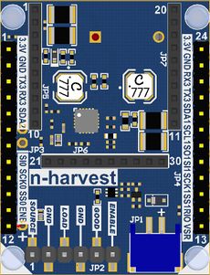 N-harvest-1.JPG