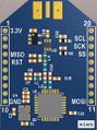 N-Lora-1.JPG