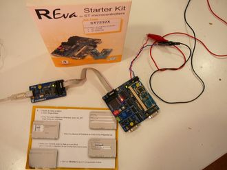 Reva2.JPG
